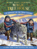 Book Cover for "Sunlight on the Snow Leopard"