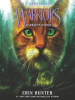 Book Cover for "Darkness Within"