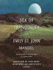 Book Cover for "Sea of Tranquility"