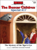 Book Cover for "The Mystery of the Tiger's Eye"