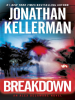 Book Cover for "Breakdown"