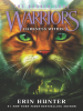 Book Cover for "Darkness Within"