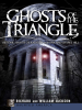 Book Cover for "Ghosts of the Triangle"