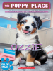 Book Cover for "Ozzie"