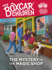 Book Cover for "The Mystery in the Magic Shop"