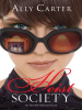 Book Cover for "Heist Society"