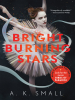 Book Cover for "Bright Burning Stars"