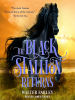 Book Cover for "The Black Stallion Returns"