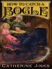 Book Cover for "How to Catch a Bogle"