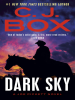 Book Cover for "Dark Sky"