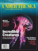 Book Cover for "Under The Sea: Colorful Secrets of the Briny Deep"