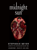 Book Cover for "Midnight Sun"