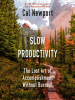 Book Cover for "Slow Productivity"