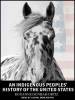 Book Cover for "An Indigenous Peoples' History of the United States"