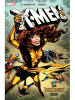 Book Cover for "X-Men: Dark Phoenix Saga"