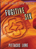 Book Cover for "Fugitive Six"