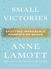 Book Cover for "Small Victories"