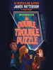 Book Cover for "The Double Trouble Puzzle"