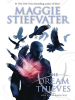 Book Cover for "The Dream Thieves"