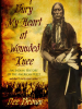Book Cover for "Bury My Heart at Wounded Knee"