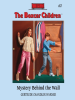 Book Cover for "Mystery Behind the Wall"