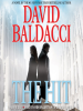 Book Cover for "The Hit"