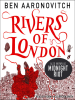 Book Cover for "Midnight Riot"