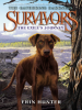 Book Cover for "The Exile's Journey"