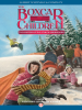 Book Cover for "The Mystery of the Stolen Snowboard"