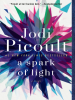 Book Cover for "A Spark of Light"