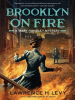 Book Cover for "Brooklyn on Fire"