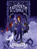Book Cover for "The Labyrinth of Souls"