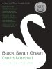 Book Cover for "Black Swan Green"