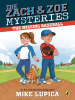 Book Cover for "The Missing Baseball"