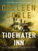 Book Cover for "Tidewater Inn"