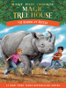 Book Cover for "Rhinos at Recess"