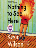Book Cover for "Nothing to See Here"