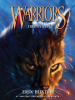 Book Cover for "Fire and Ice"