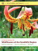 Book Cover for "A Field Guide to Wildflowers of the Sandhills Region"