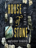 Book Cover for "House of Stone"
