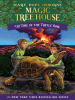 Book Cover for "Time of the Turtle King"