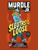 Book Cover for "Sleuths on the Loose"