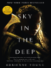Book Cover for "Sky in the Deep"