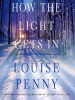 Book Cover for "How the Light Gets In"