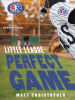 Book Cover for "Perfect Game"