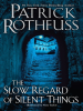Book Cover for "The Slow Regard of Silent Things"