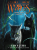 Book Cover for "Thunder and Shadow"
