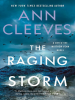Book Cover for "The Raging Storm"