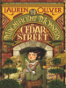Book Cover for "The Magnificent Monsters of Cedar Street"