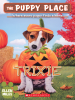 Book Cover for "Trixie"